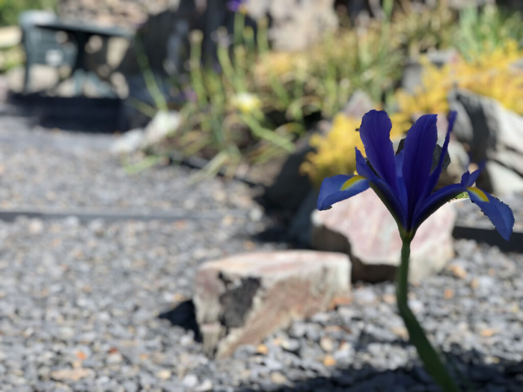 3 RIDGE GARDEN