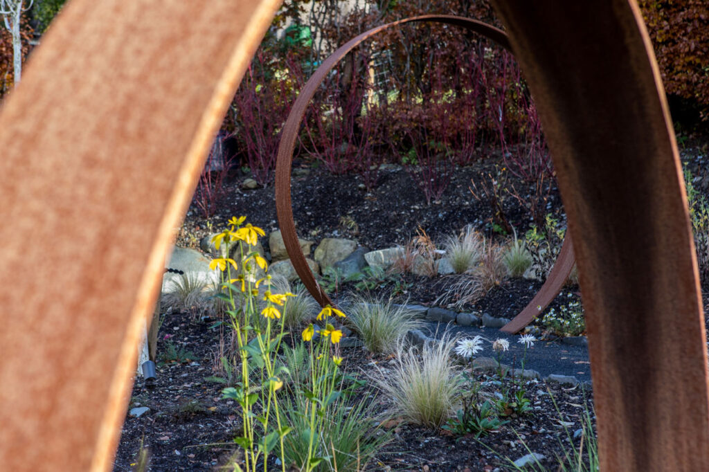 Lakeland Gardens photos November -6621