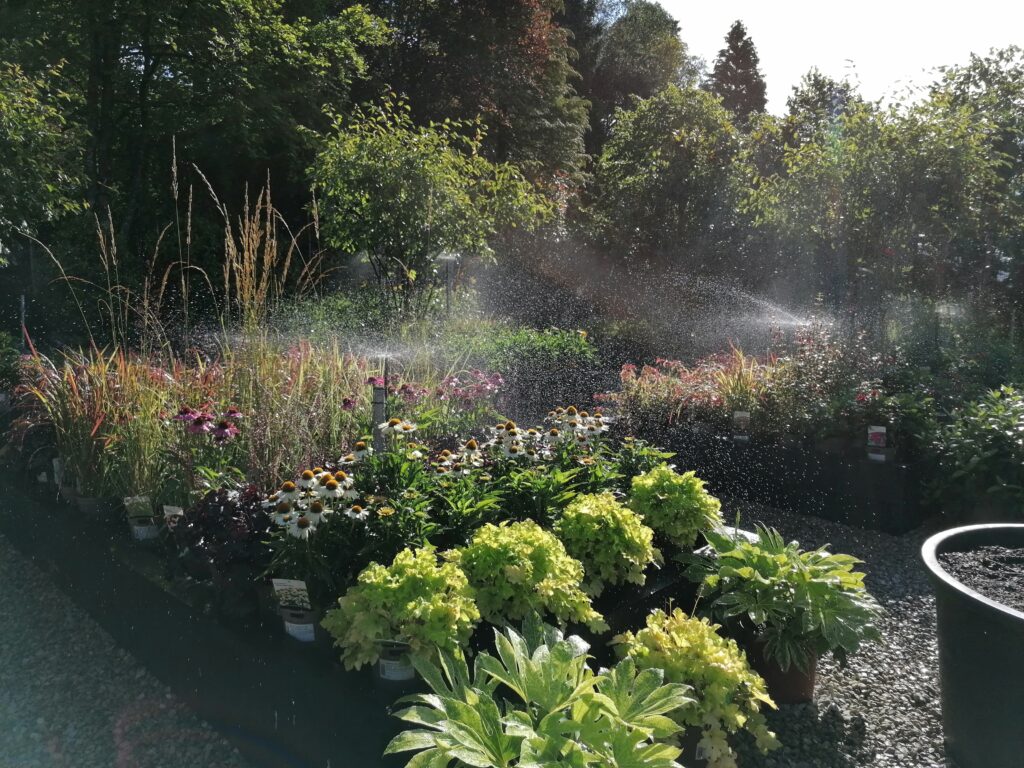 Lakeland Gardens nursery