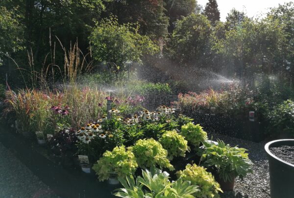 Lakeland Gardens nursery