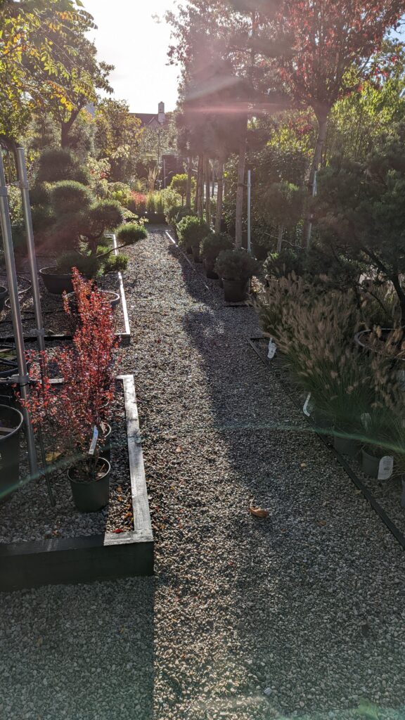 Lakeland Gardens nursery