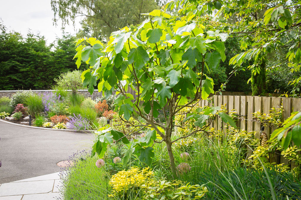 Lakeland_Gardens_Beetham_June_2024_12
