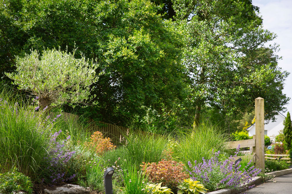 Lakeland_Gardens_Beetham_June_2024_68
