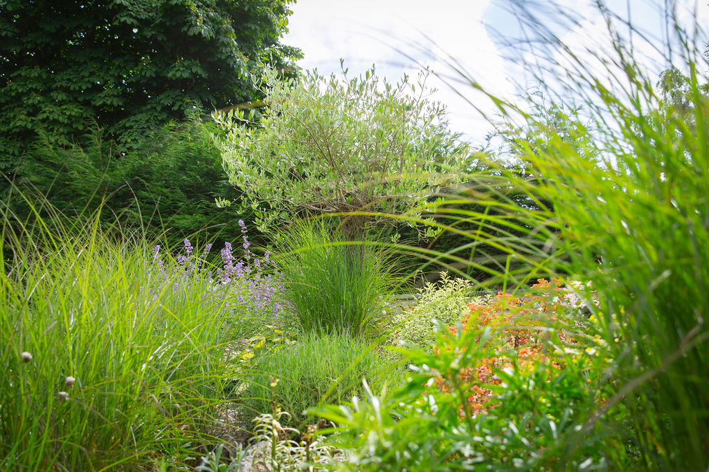 Lakeland_Gardens_Beetham_June_2024_70